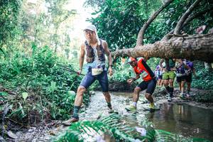 BIB: 
                            <button type="button" onclick="openModal(25443194)" class="btn btn-primary btn-sm float-right btn-popup" data-toggle="modal" data-target=".modal-high-quality">
                        <i class="fas fa-shopping-cart"></i> Add to Cart
                    </button>
                                            <button type="button" onclick="isThisMe(25443194, true)" class="btn btn-success btn-sm float-right btn-popup btn-isme hidden" data-toggle="tooltip" data-placement="bottom" title="นี่คือรูปของคุณใช่ไหม คลิกที่นี่เพื่อเอาเข้าอัลบั้ม">
                        <i class="fas fa-plus"></i> Add to album
                    </button>
                    <button type="button" onclick="isThisMe(25443194, false)" class="btn btn-warning btn-sm float-right btn-popup btn-isnotme hidden">
                        <i class="fas fa-ban"></i> Remove from album
                    </button>